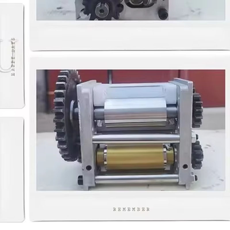 Spring Roll Wrapper - Dumpling Wrapper Forming Machine Spring Roll