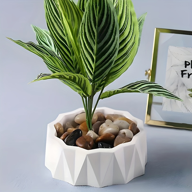 1/2pcs Large Round Irregular S - огляд і ціна Potsticker Mold