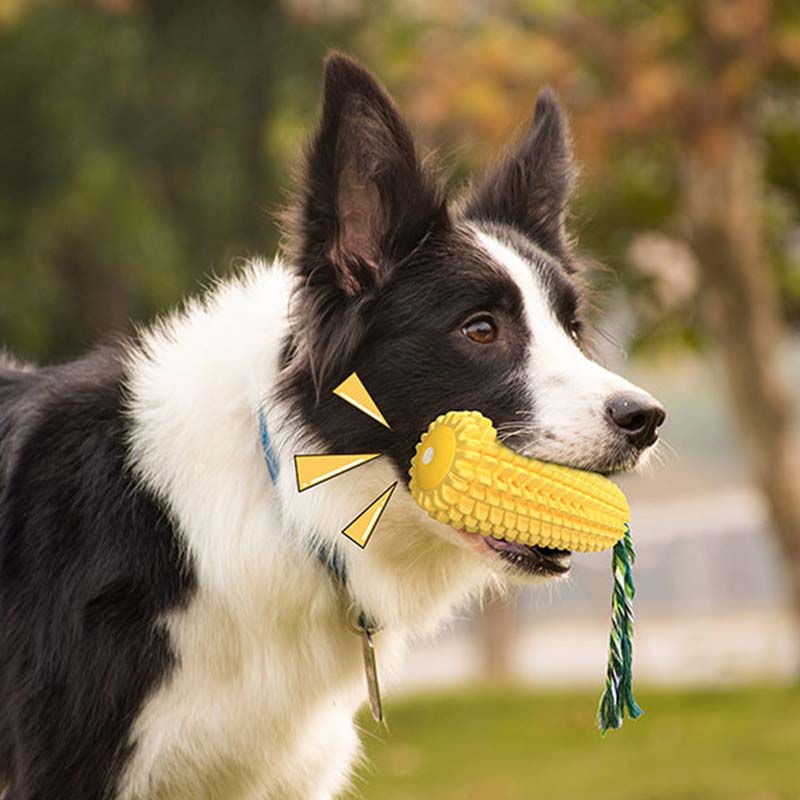 Corn Shape Squeaky Dog Toy Dur - огляд і ціна Corn Dog Stick